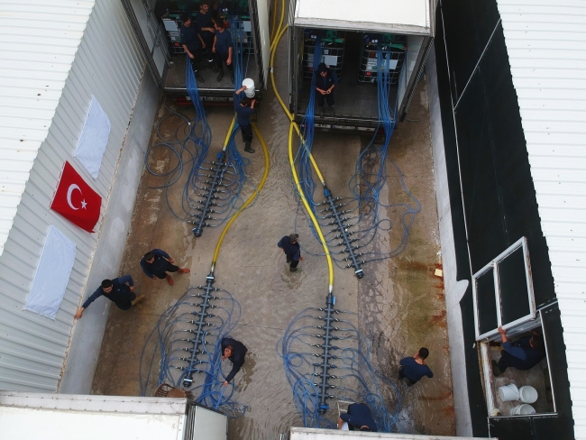 100 ton canlı balık, İzmir'den Umman'a 24 saatte taşındı